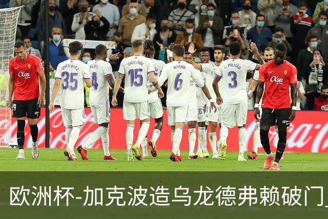欧洲杯-加克波造乌龙德弗赖破门 荷兰2-1土耳其
